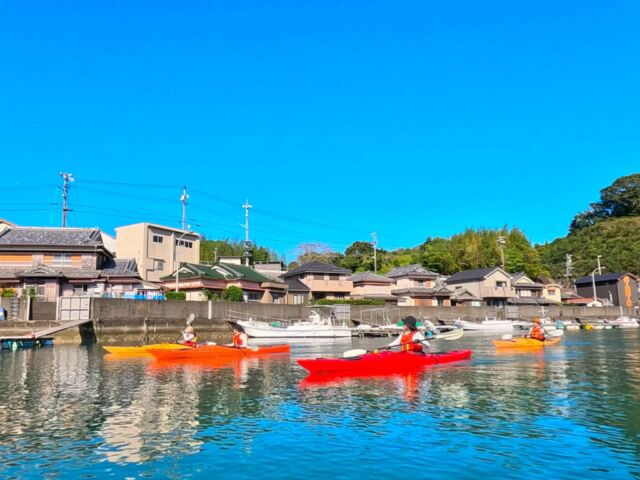 スウィングスターパドル【インフィニティ】 - サニーコーストカヤックス SUNNY COAST KAYAKS