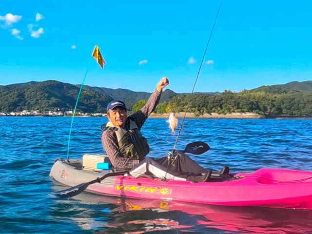 カヤックパドル（swingster infinity） Swingster infinity カヤック用